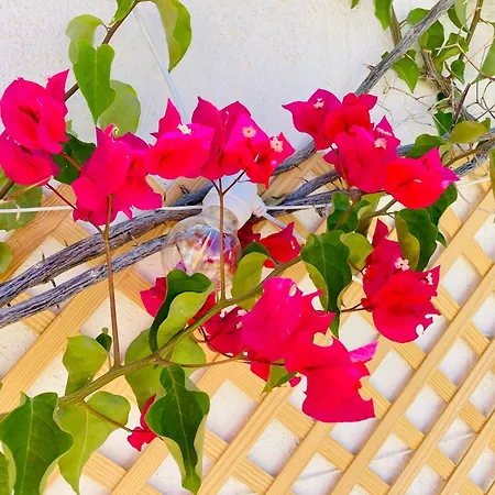 Luxury Villa With Sea View, Private Jacuzzi & Heated Pool San Miguel de Abona